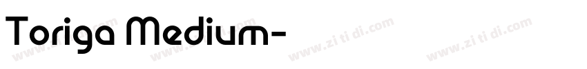 Toriga Medium字体转换